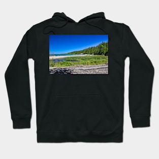 Tall Grass By The Water Hoodie